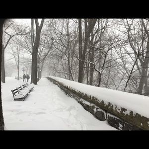 Meet your Posher, Shai