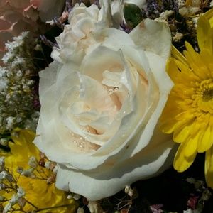 Meet your Posher, Milagros