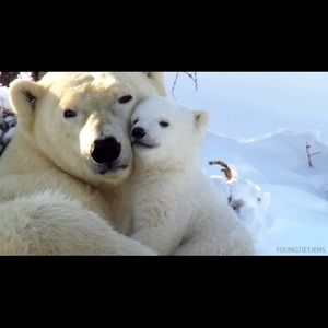 Meet your Posher, April