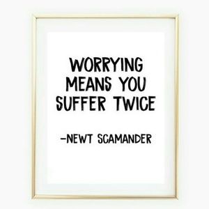 Meet your Posher, Ray