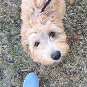 Meet your Posher, Stanley