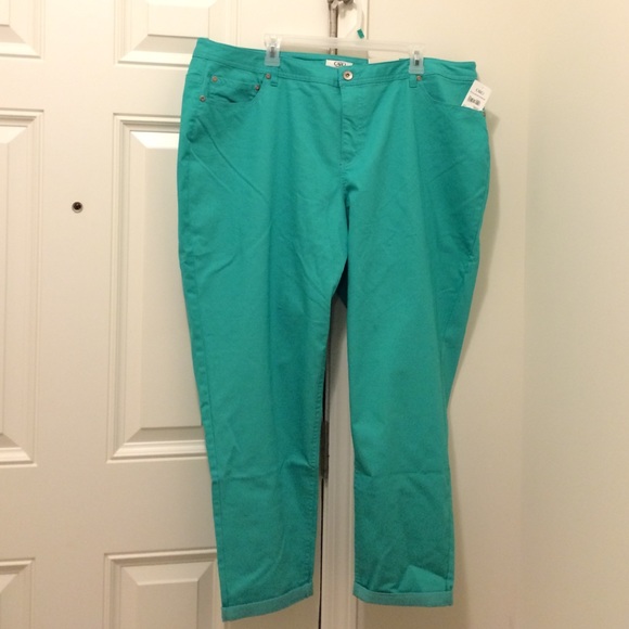 FINAL NEW Cato Pool Green Ankle Length Jeans 24W