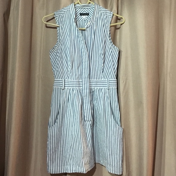 Venus Pinstripe Cotton Dress with Pockets