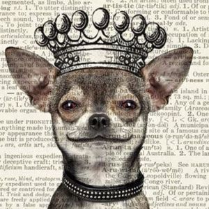 Meet your Posher, Vickie