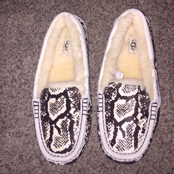 Snake print ugg  slippers brand new