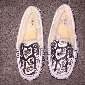 Snake print ugg  slippers brand new