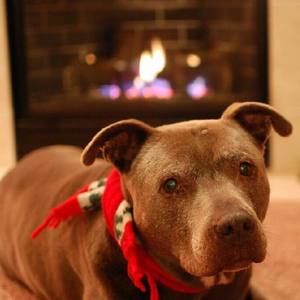 Meet your Posher, Faith