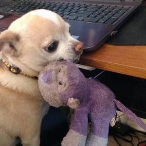 Meet your Posher, Jackie