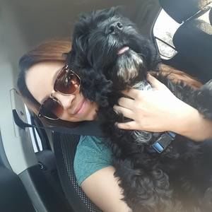 Meet your Posher, Jamie