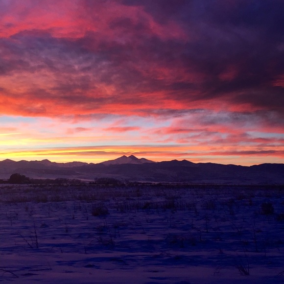 Meet your Posher, Carlee! - Picture 10 of 10