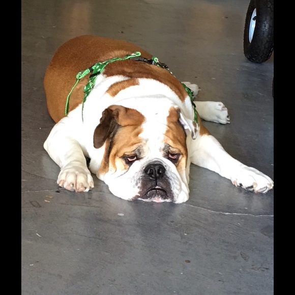 Meet your Posher, John - Picture 1 of 1