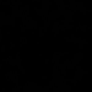 Meet your Posher, Young