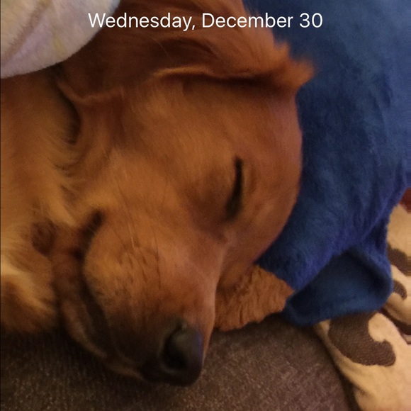 Meet your Posher, Jamie - Picture 1 of 1