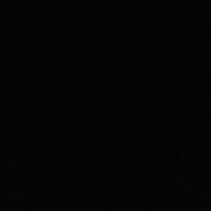 Meet your Posher, Ray