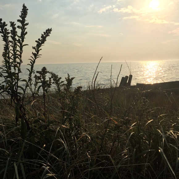 Meet your Posher, Andrea-gayle