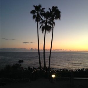 Meet your Posher, Andre