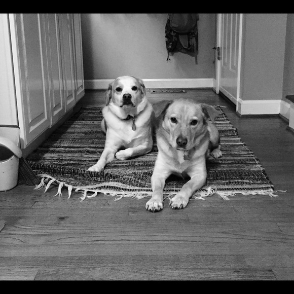 Meet your Posher, Jill - Picture 2 of 2