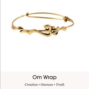 Alex + Ani OM wrap bracelet