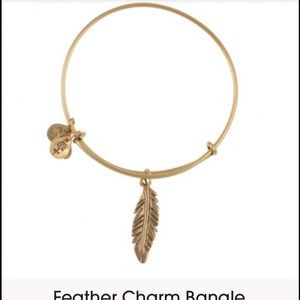 Alex + Ani feather charm bracelet
