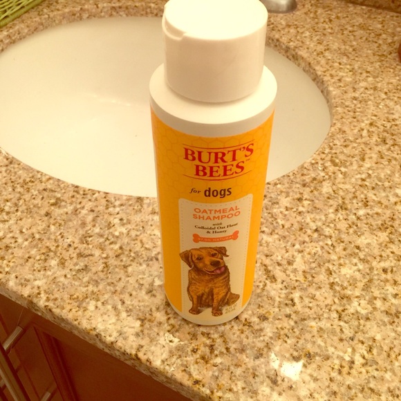 burt's bees oatmeal shampoo