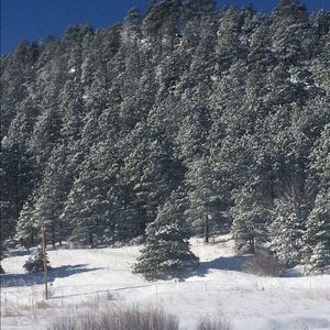 Meet your Posher, Monica