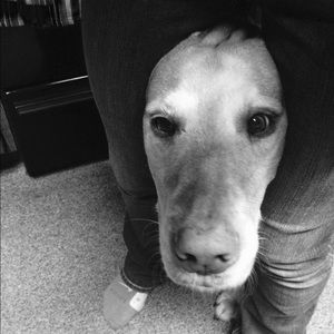 Meet your Posher, Zamara