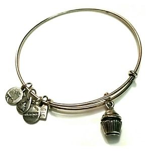 Alex & ani charm bracelet