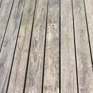 Meet your Posher, Kyler