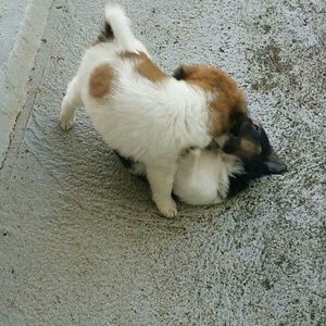 Meet your Posher, Khanh