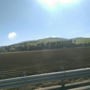 Meet your Posher, Rosa