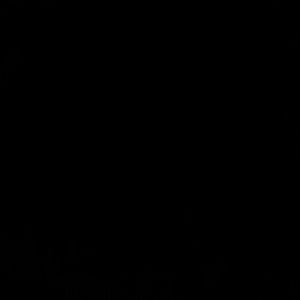 Meet your Posher, Ashleey