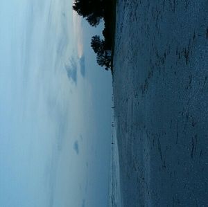 Meet your Posher, Darcie