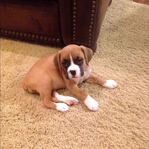 Meet your Posher, Melissa