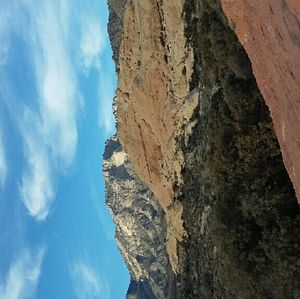 Meet your Posher, Desiree