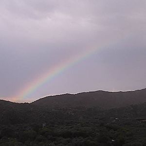 Meet your Posher, Claudia