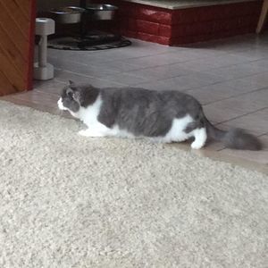 Meet your Posher, Colleen