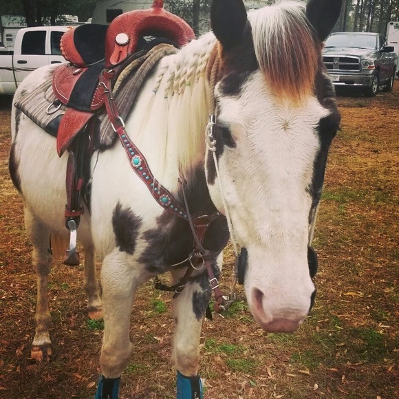 Meet your Posher, Kayla