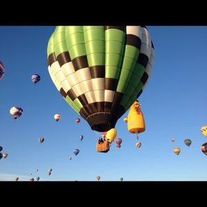 Meet your Posher, Callie