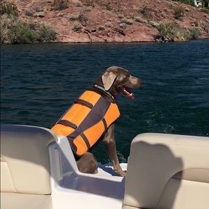 Meet your Posher, Lynn