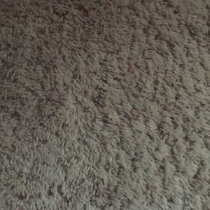 Meet your Posher, Jaqueline