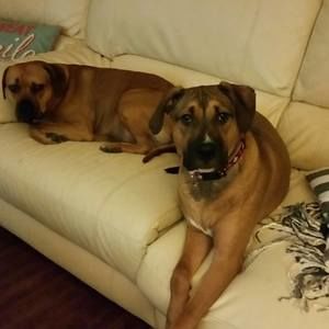 Meet your Posher, Charlene