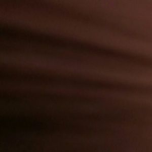 Meet your Posher, Shaun