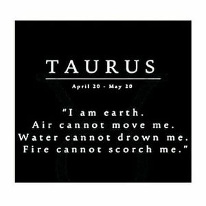 Meet your Posher, Silvia