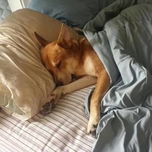 Meet your Posher, Carlee