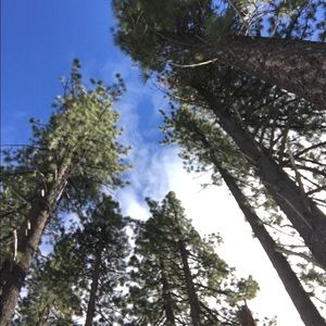 Meet your Posher, Kenya