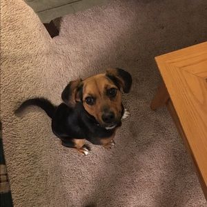 Meet your Posher, Connie