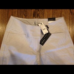 Express "Editor" Slacks