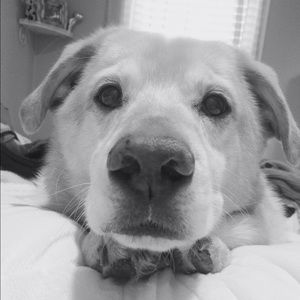 Meet your Posher, Marissa