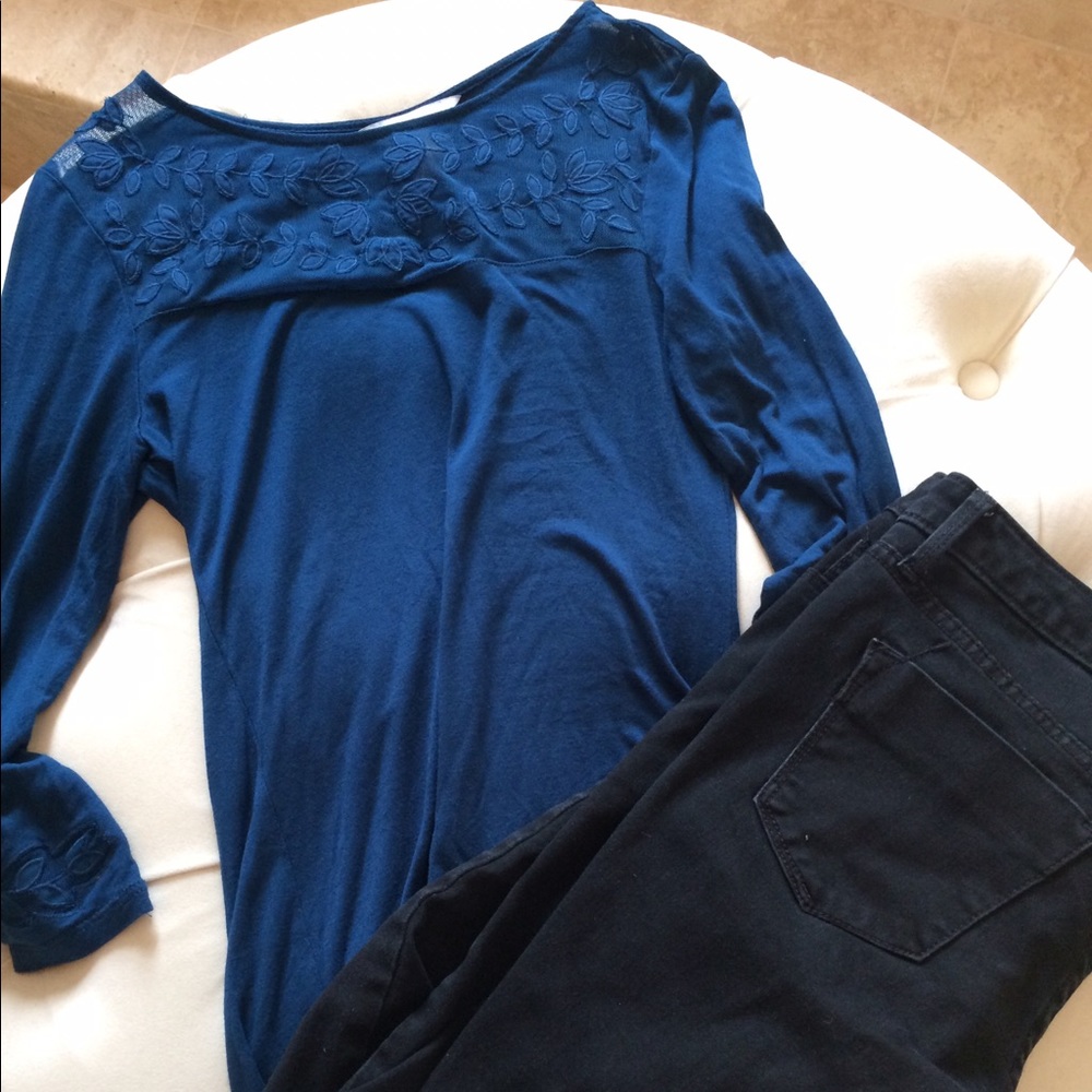 Blue mesh embroidered neckline top