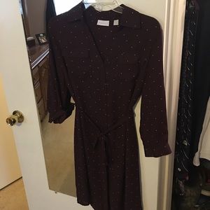 Polka Dot Blouse Dress